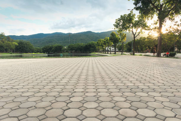 Best Driveway Pavers Near Me  in Belzoni, MS